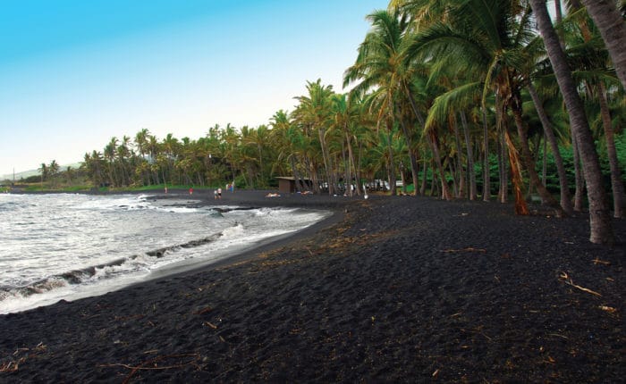 Punaluu Black Sand Beach with ocean and palm trees