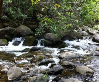 rocky stream cutting through iao valley in maui