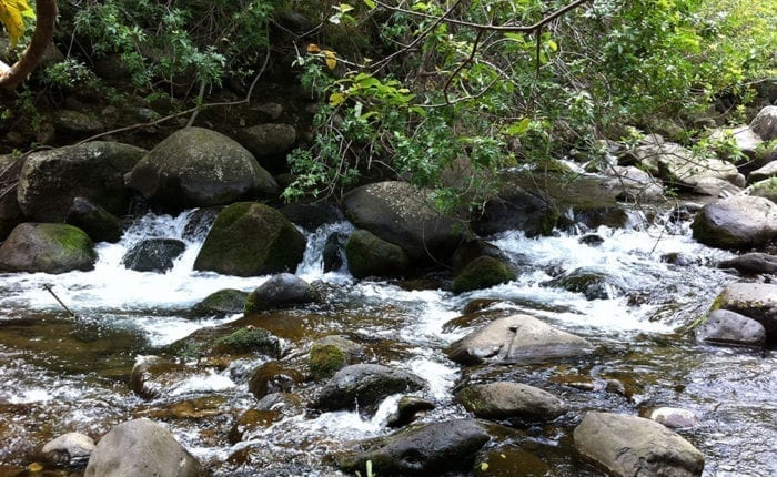 rocky stream cutting through iao valley in maui