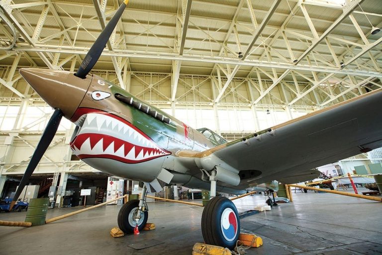 Oahu PAM Plane Smile