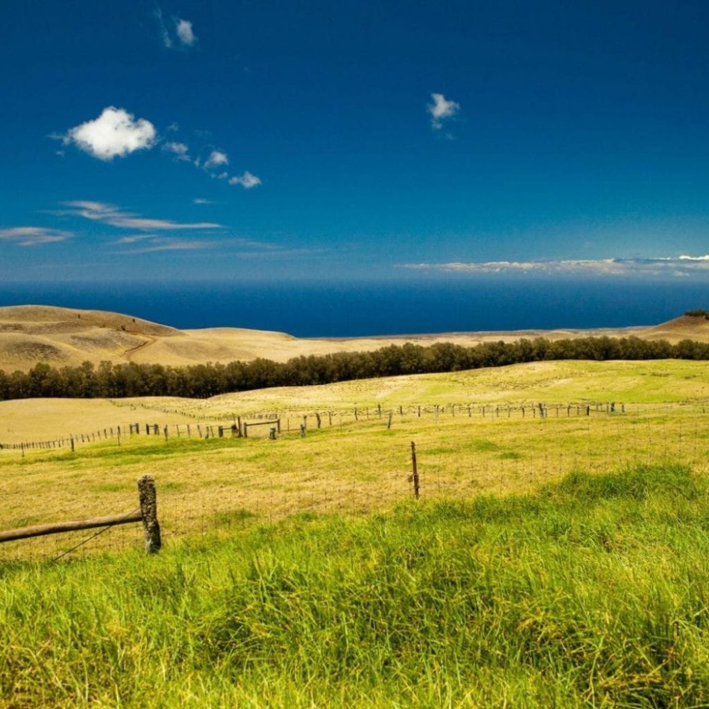 Ranch View Kahua
