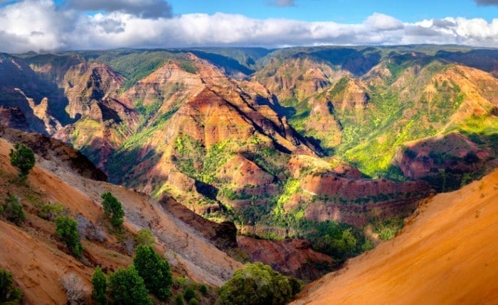 large panoramic waimea canyon landscape