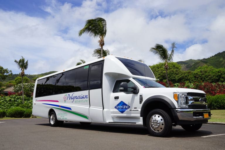White Mini polynesian adventure hawaii charter & tour bus