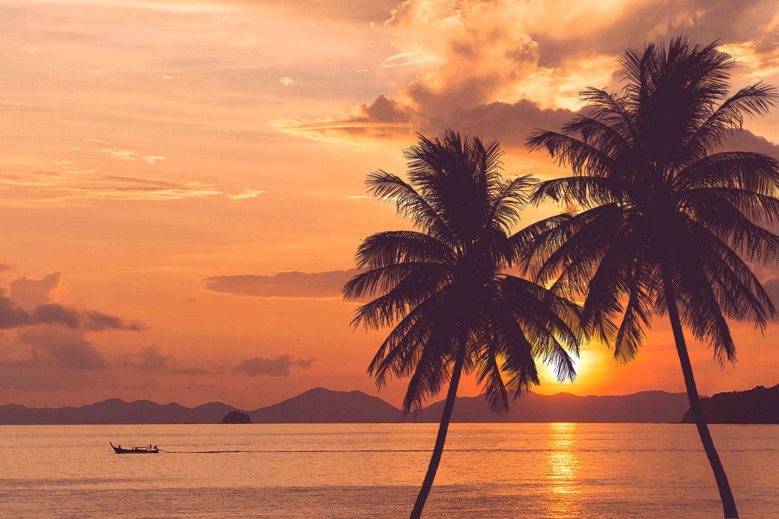 hawaiian palm tree at sea and sunset summer background
