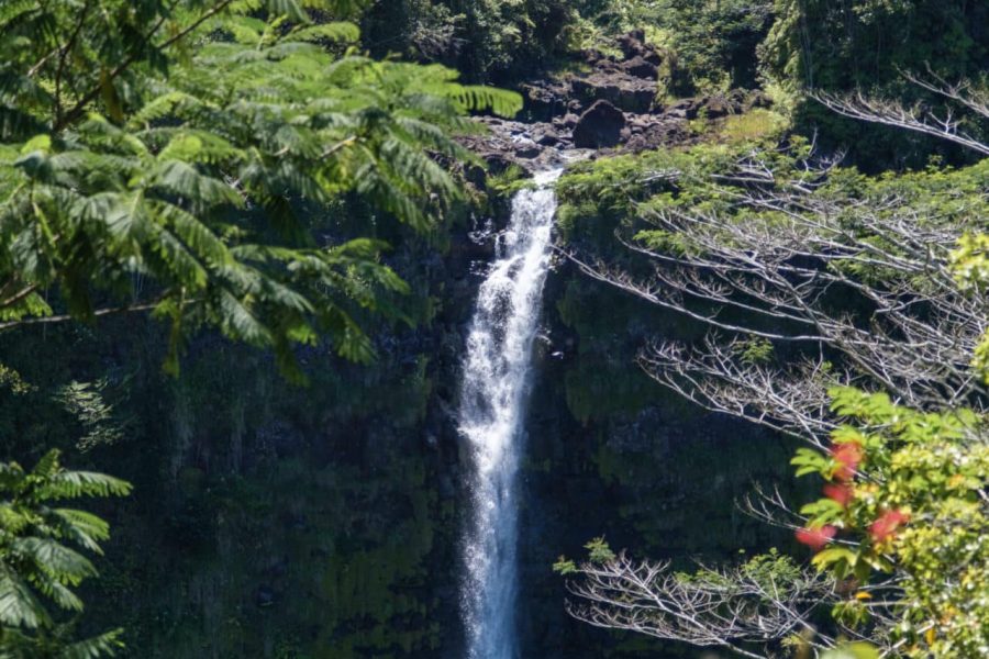 Akaka Falls
