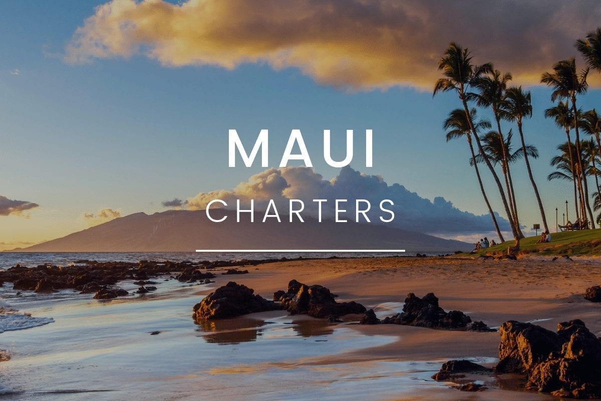 button to Maui charter bus rental page