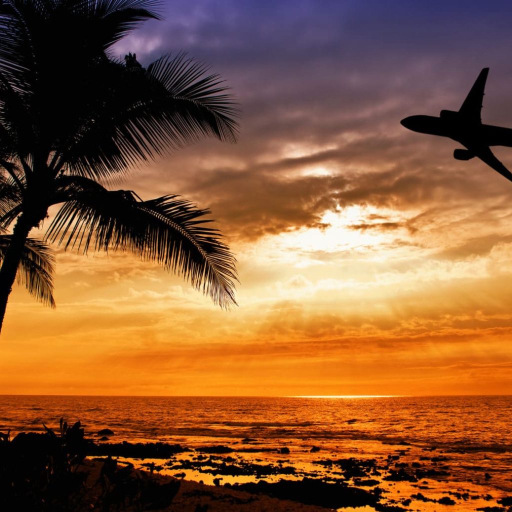 plane flying close to shoreline of beach with palm trees and water crashing in the foreground