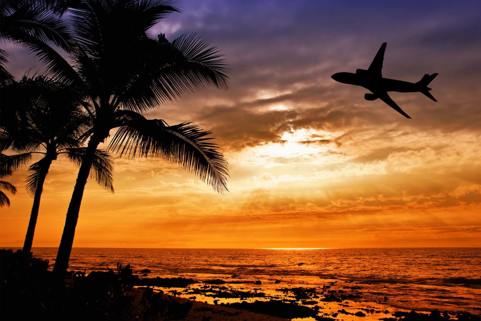 plane flying close to shoreline of beach with palm trees and water crashing in the foreground
