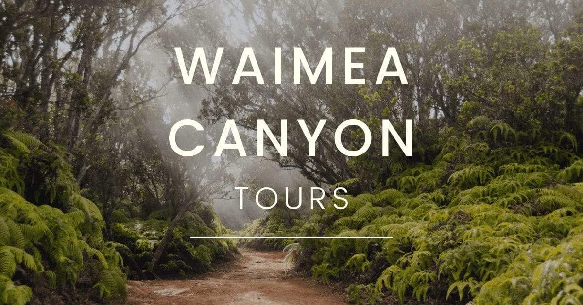 button to book Waimea Canyon Tours - Kauai - Hawai'i Tours & Activities