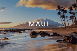 Maui Tours button
