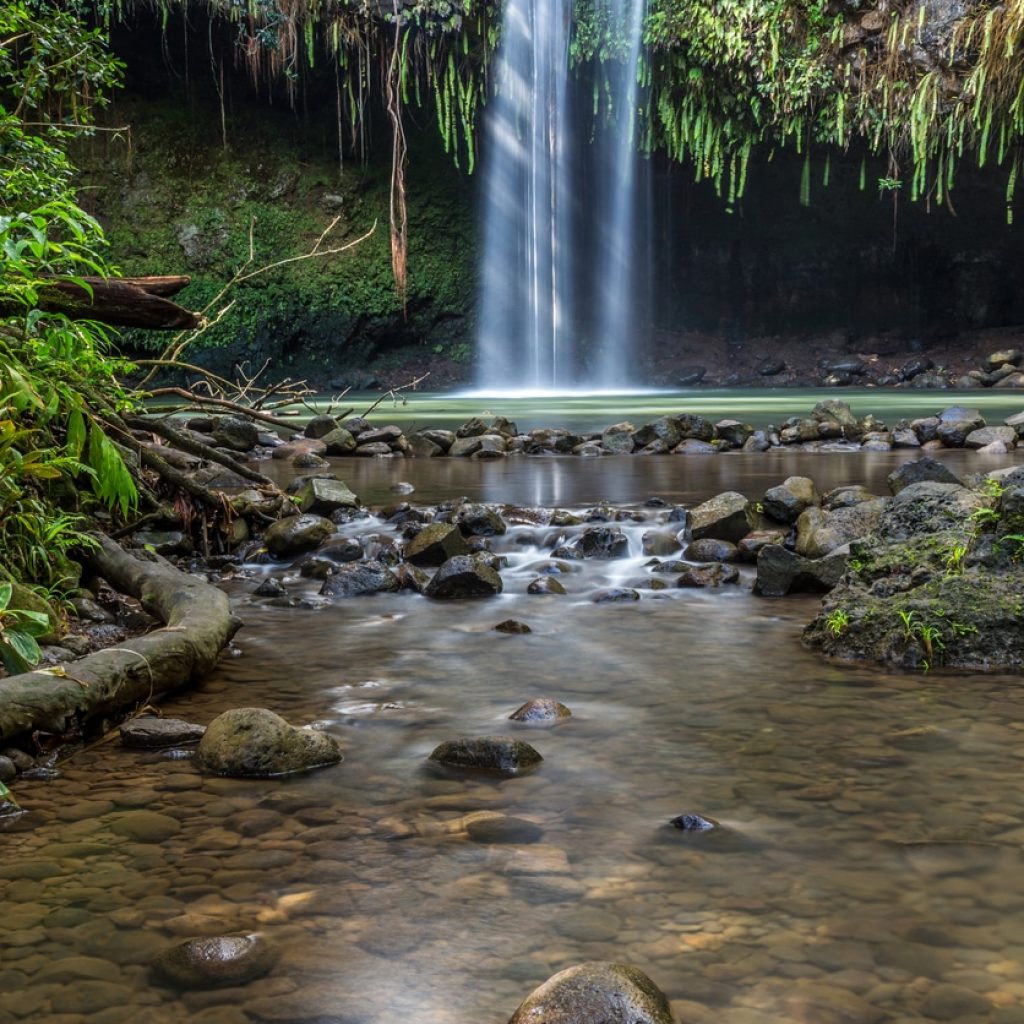 polynesian adventure - spirit of aloha - twin falls maui