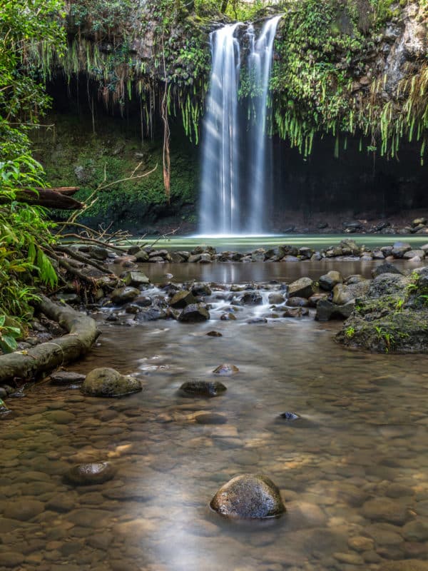 polynesian adventure - spirit of aloha - twin falls maui