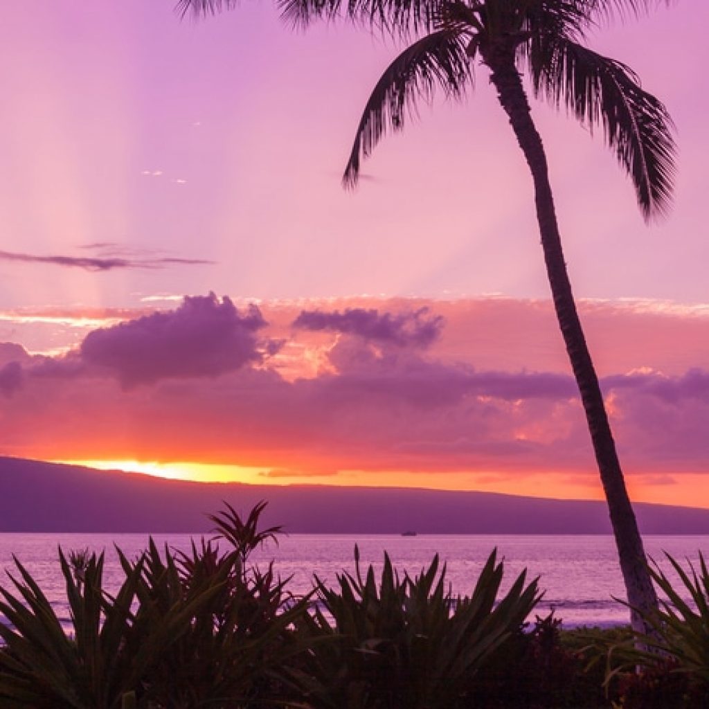polynesian adventure tours - hawaii sunset - spirit of aloha