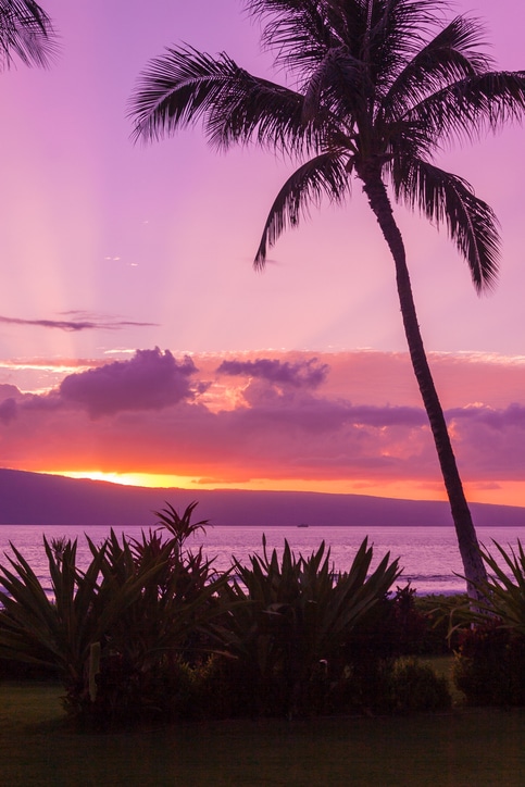 polynesian adventure tours - hawaii sunset - spirit of aloha