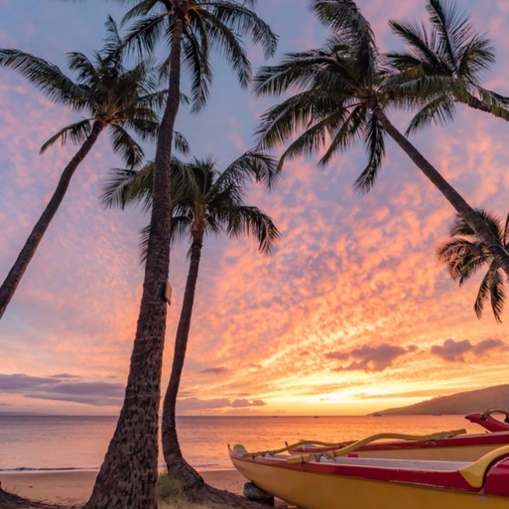 Beach side sunset with canoes and palms trees from Maui - spirit of aloha blog - polynesian adventure tours & activities
