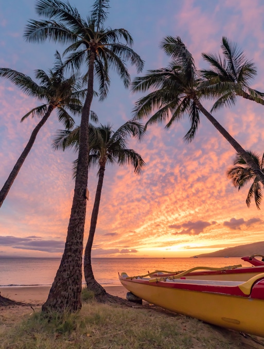Beach side sunset with canoes and palms trees from Maui - spirit of aloha blog - polynesian adventure tours & activities