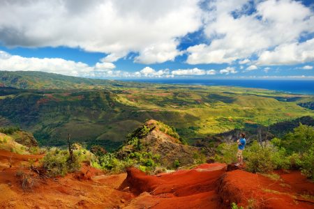Oahu to Kauai: Waimea Canyon & Koke’e Adventure