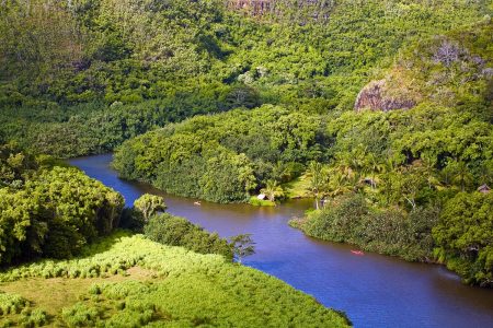 Kauai Waimea Canyon, Wailua River & Fern Grotto