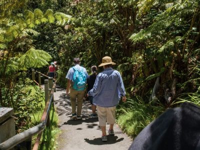Akaka Falls
